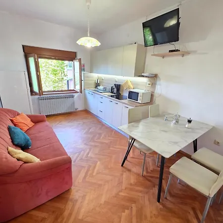Mit Terrasse- 150 M Vom Sandstrand Entfernt By Interhome 公寓 茨里克韦尼察